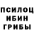 Галлюциногенные грибы Cubensis victoremorrose