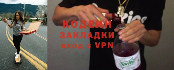 крисы Богородицк